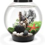 Acuario Esfera Marino