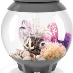 Acuario Esfera Marino 3